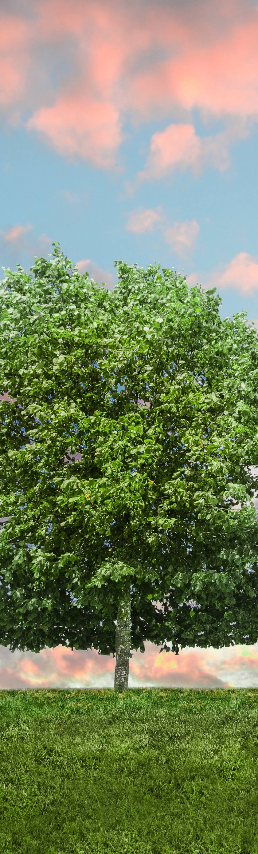 3 Ways to Reduce Your Carbon Footprint