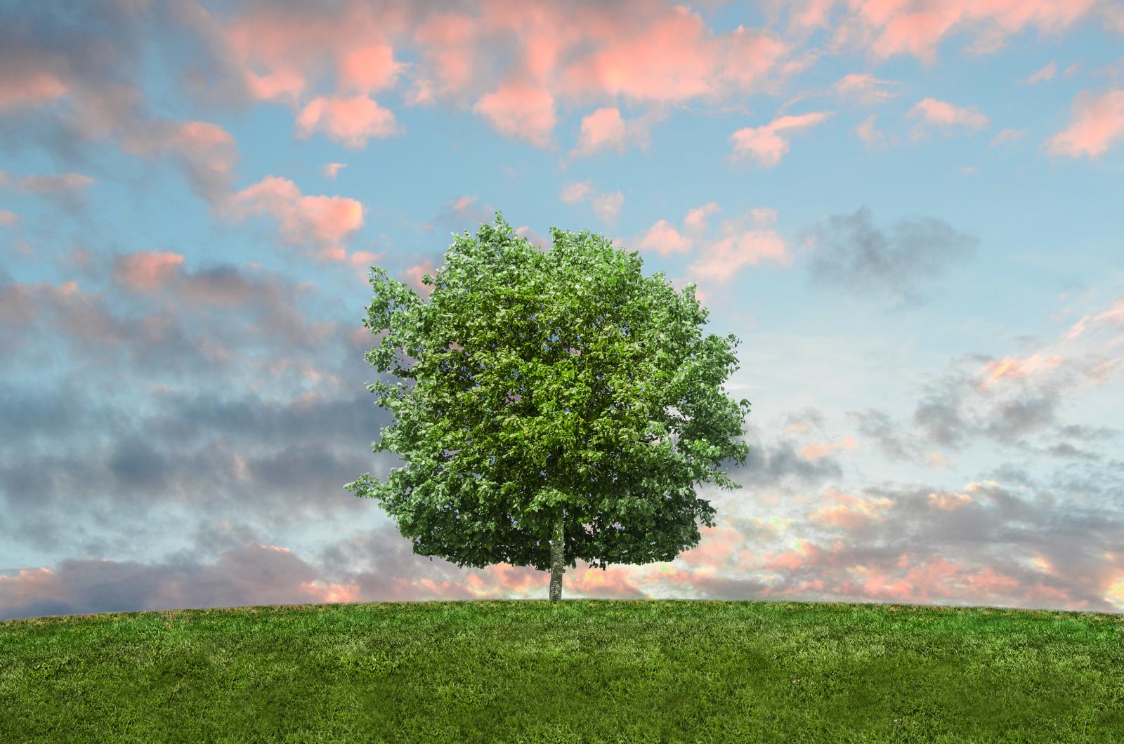 3 Ways to Reduce Your Carbon Footprint