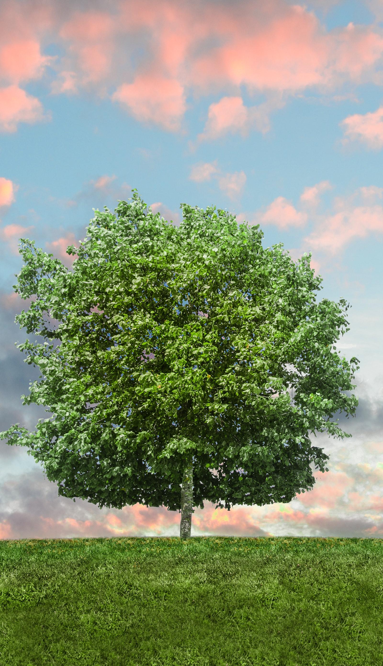 3 Ways to Reduce Your Carbon Footprint