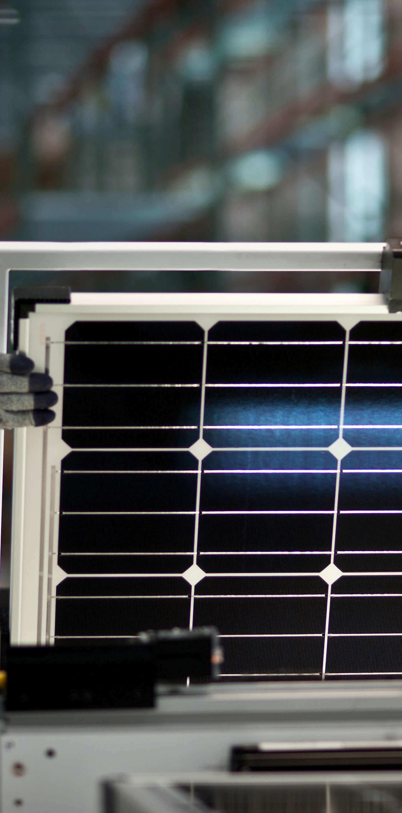 solarworld-1.jpg