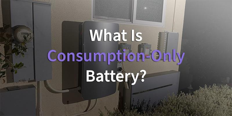 what is consumption only battery