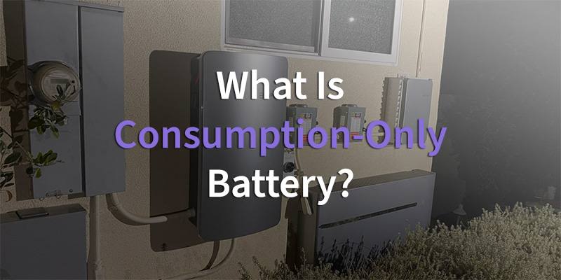 what is consumption only battery